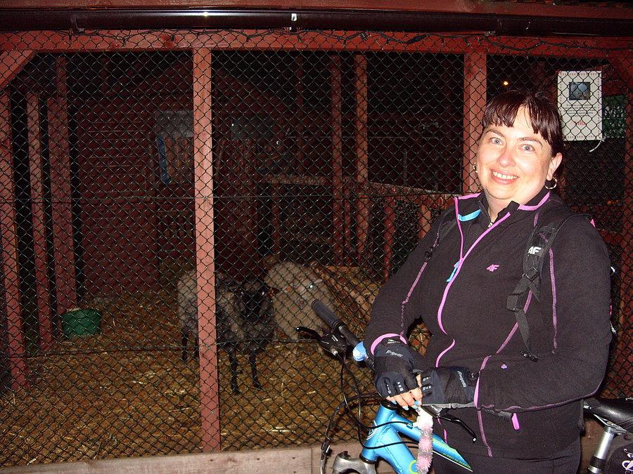 W drodze powrotnej odwiedzamy nocne zoo ;)