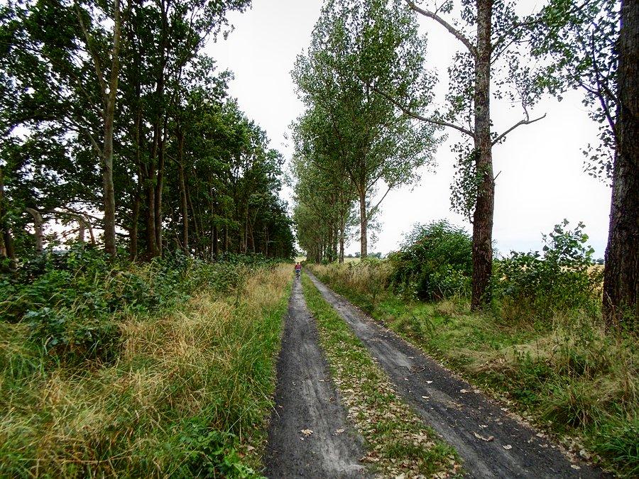 W drodze do Klępina