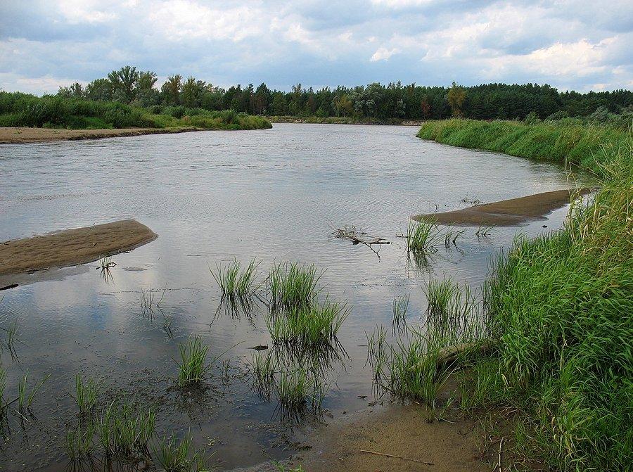 Ujście Liwca do Bugu