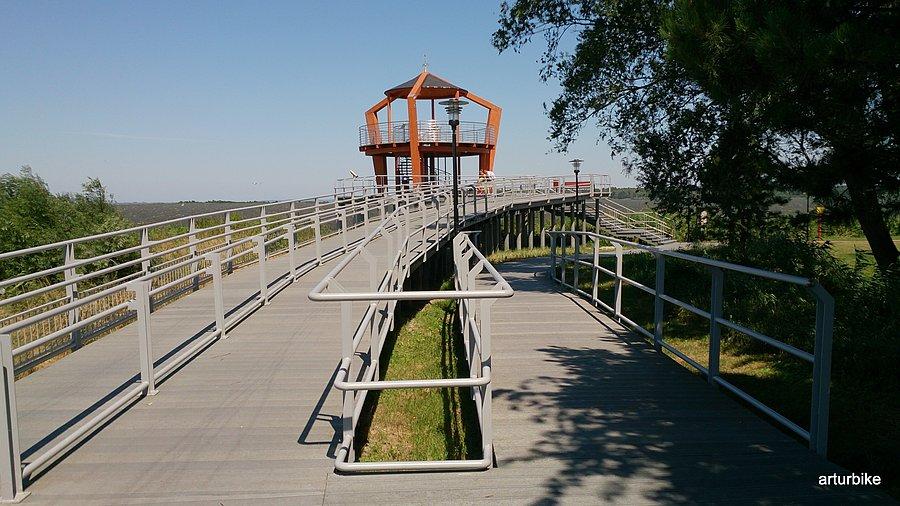 Punkt widokowy nad Zalewem Szczecińskim