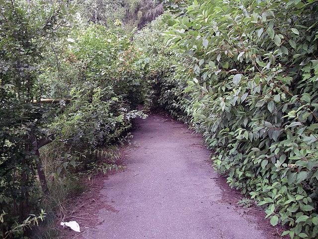 Nieco zaniedbany Park Śląski
