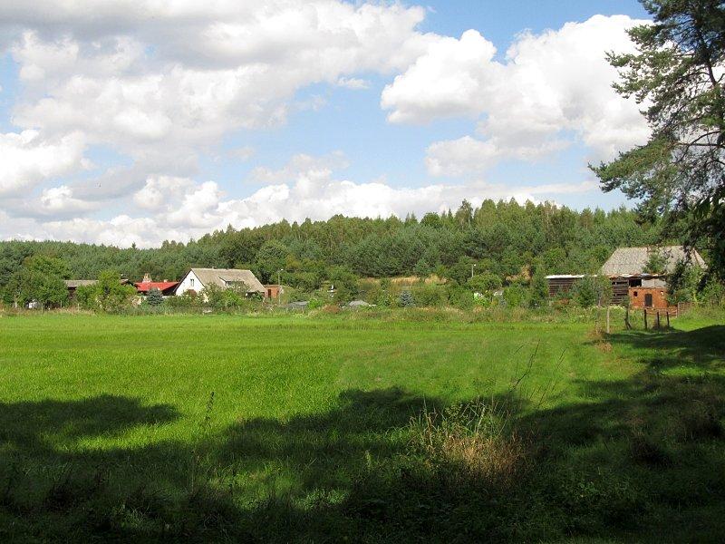Malutka osada Dzwonowo Leśne w samym sercu Puszczy Zielonka