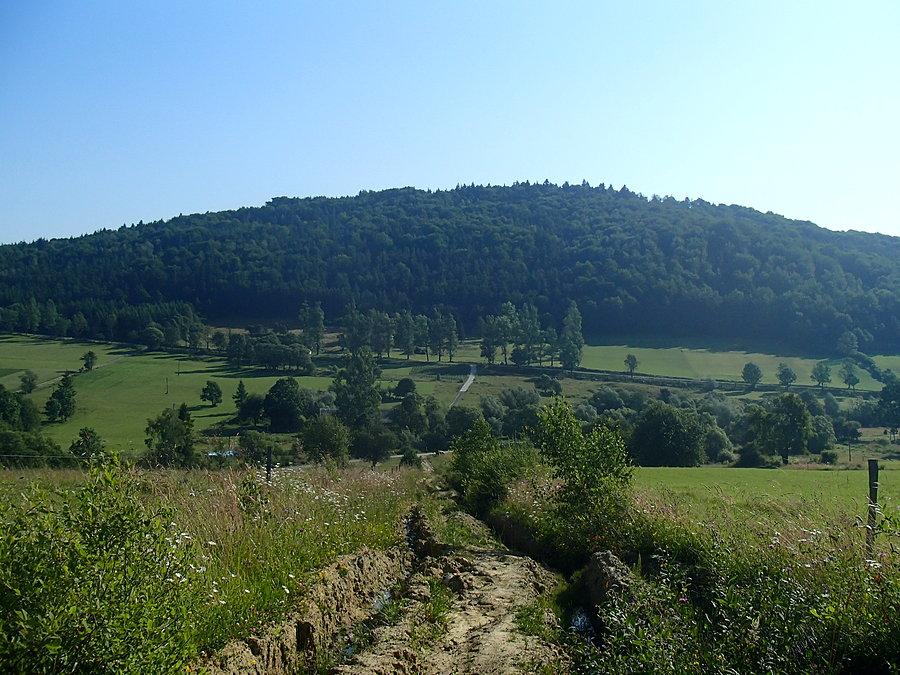 Widok na pola
