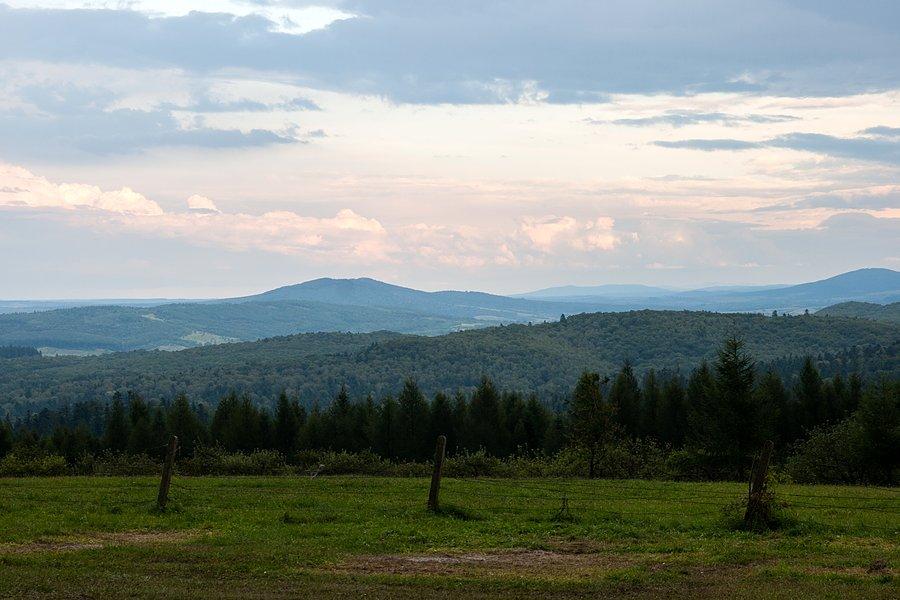 Widoki z Kalwarii
