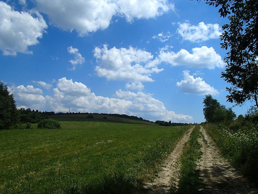 Droga przez pola