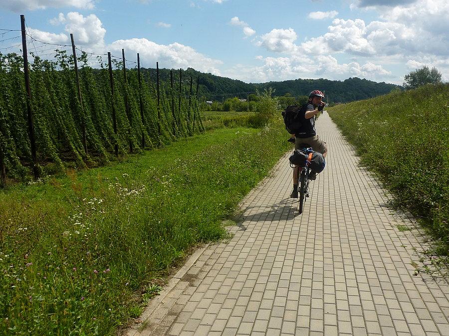 Z Puław jedziemy wzdłuż Wisły do Bochotnicy i dalej do Kazimierza Dolnego... krajobraz zaczyna falować, pojawiają się kolejne uprawy chmielu