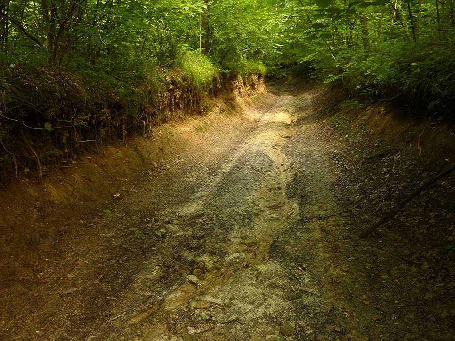 Pierwszy napotkany wąwóz w drodze do kamieniołomów i "jaskiń" w Bochotnicy