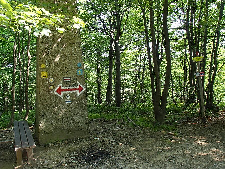Chryszczata