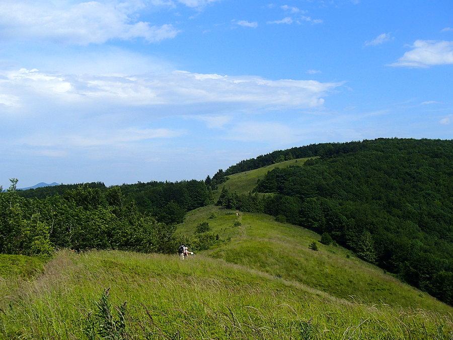 Pięknie polami i granią
