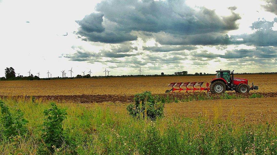 Pola pustoszeją. Już po żniwach