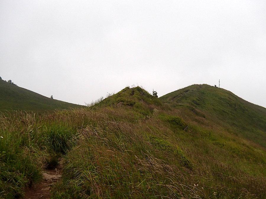 Widok na Smerek
