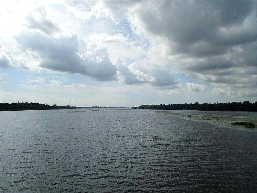 Narew za Wierzbicą a przed Łachą