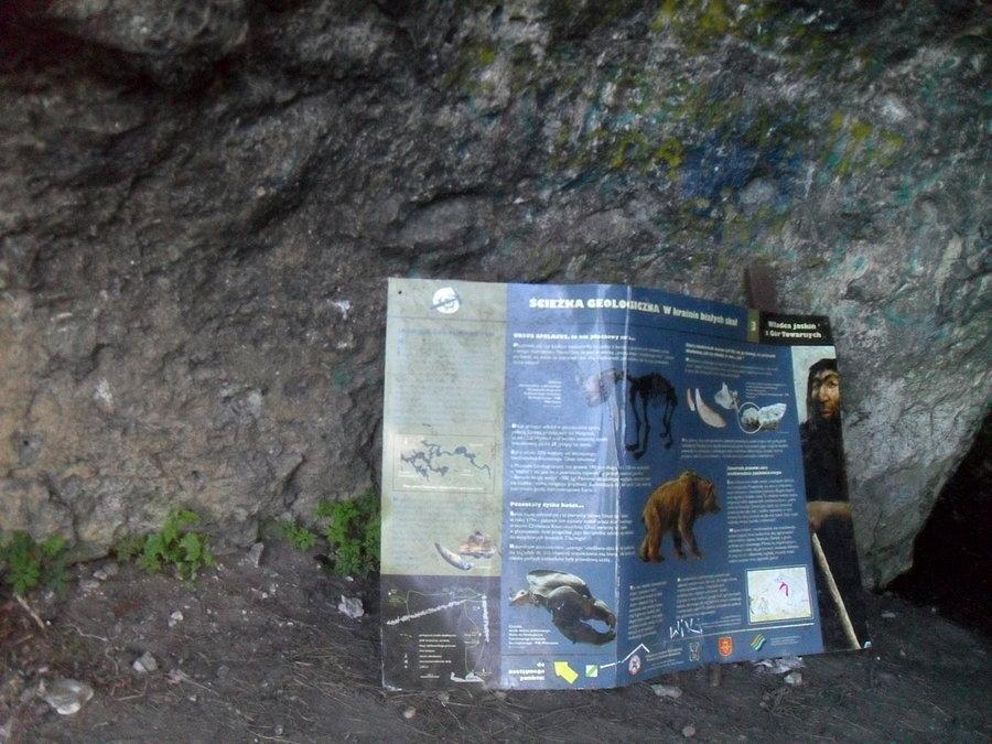 Niedzwiedzia informacja?