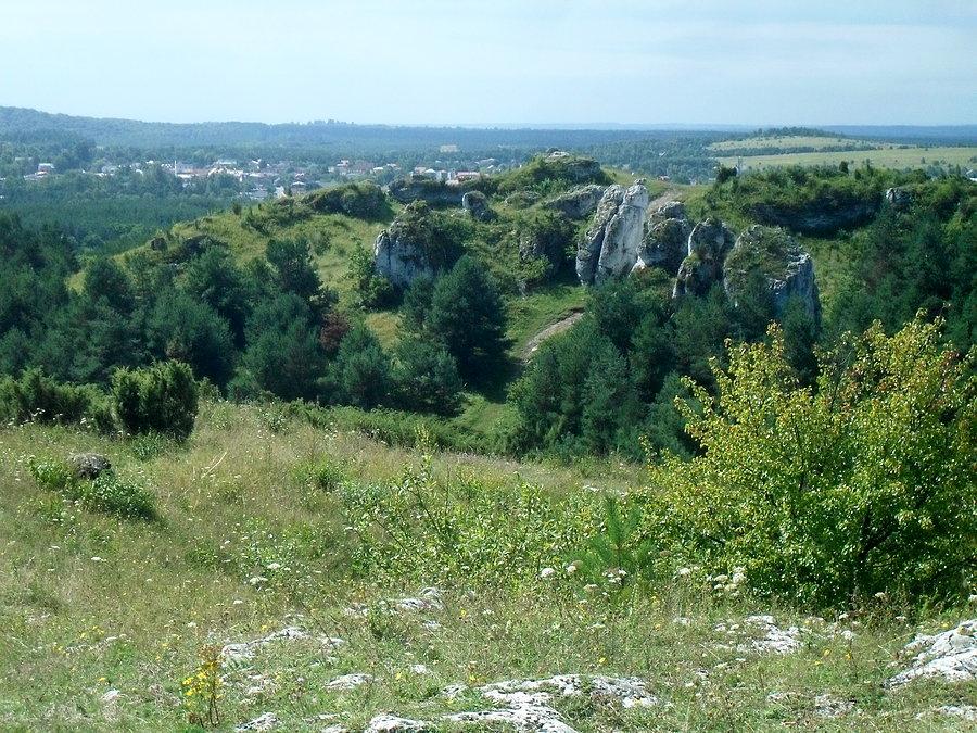 Widoczek na towarne