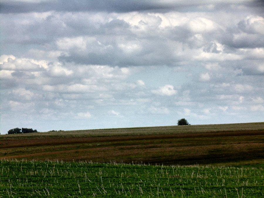 Drumliny