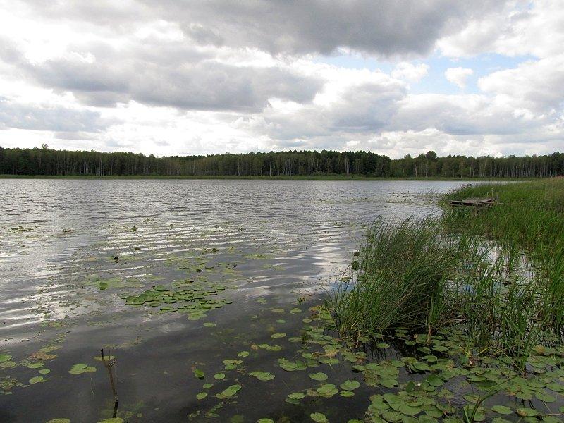 Jezioro Dzwonowskie