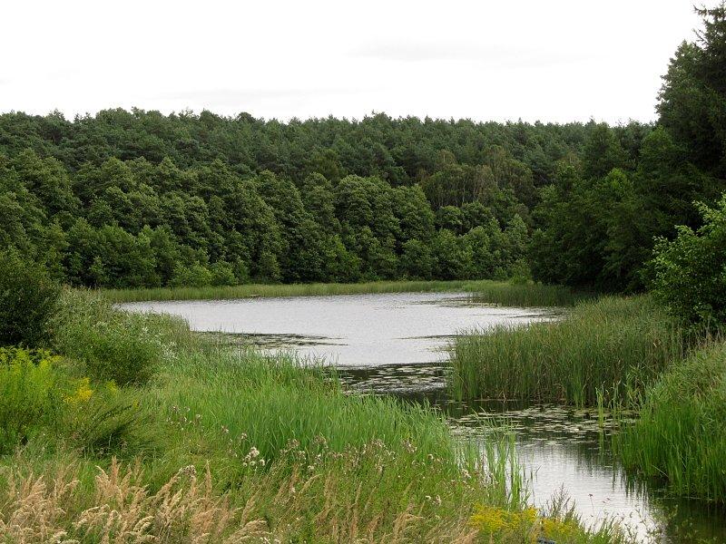 Jezioro Głęboczek o pow. 3ha