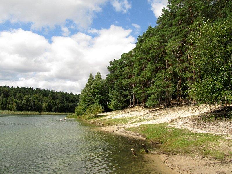 Brzeg Jeziora Miejskiego w Okońcu