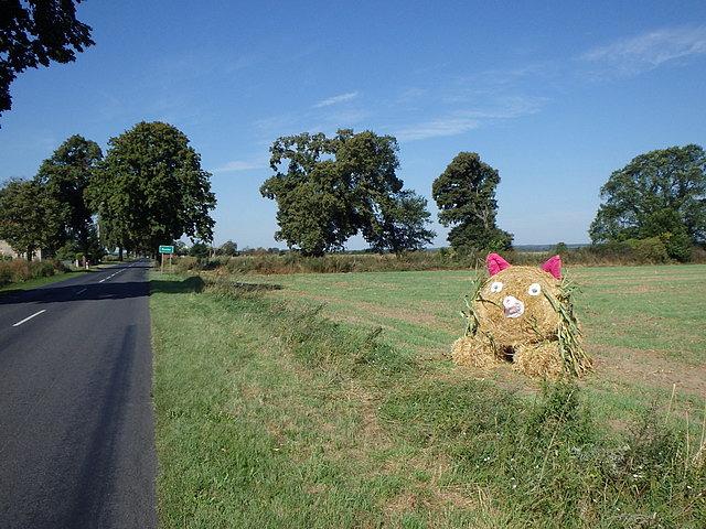 Dożynkowe akcenty:)