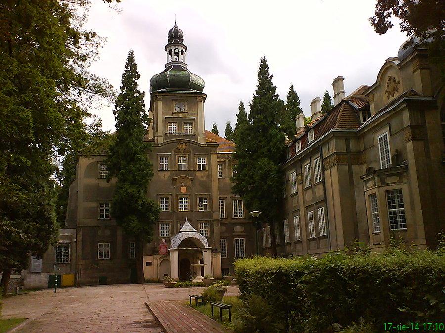 Pałac w Iłowej