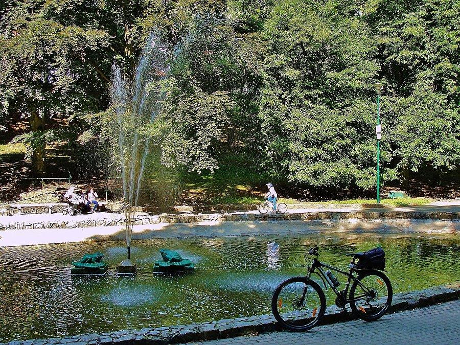 Na trasie wycieczki. Park w Tczewie