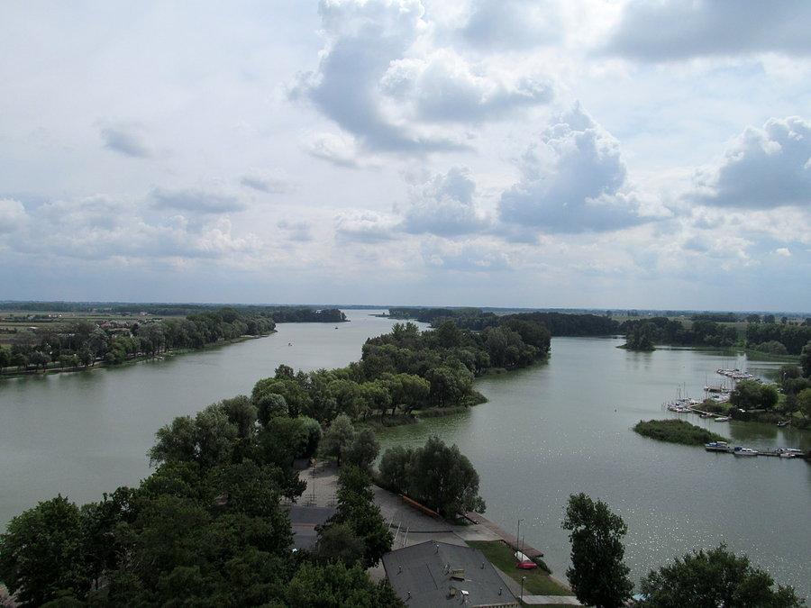 Widok z wieży