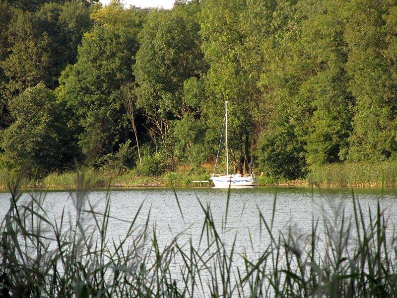 Żaglówka nad Jeziorem Kowalskim