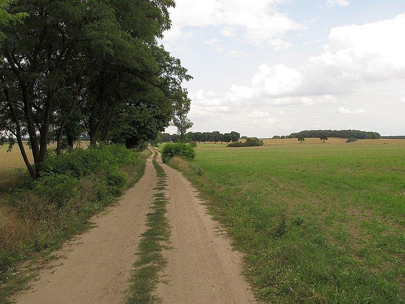 Droga polna z Kicina do Wierzenicy
