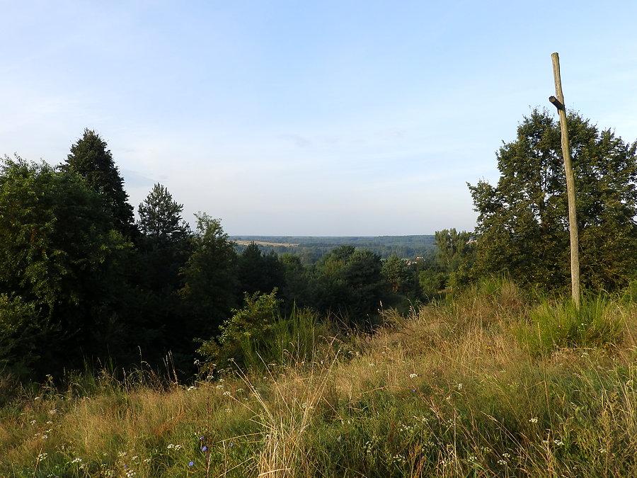 Widok z Góry Wiatrakowej na Dolinę Warty