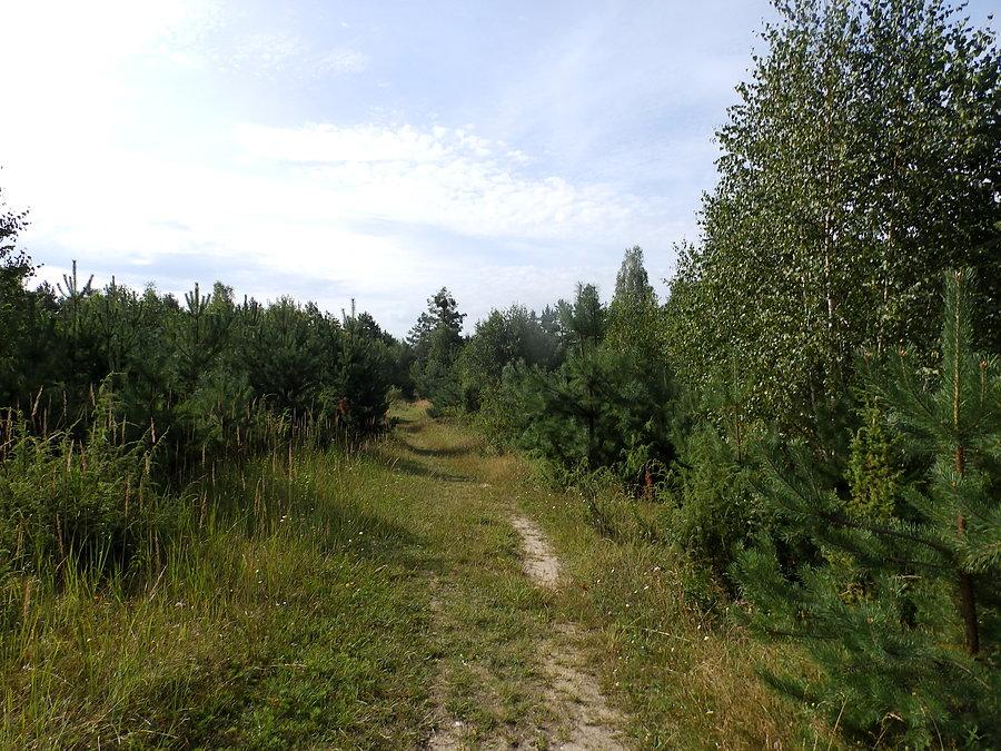Na Gorze Zelce