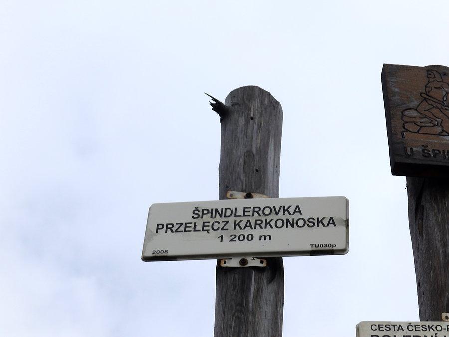 Przełęcz Karkonoska