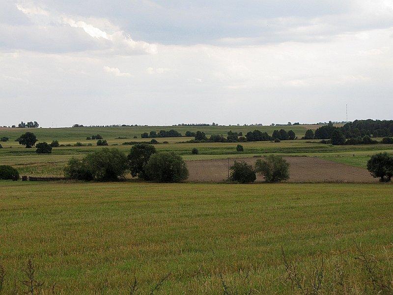 Widok na rozległe tereny z Wysokiej