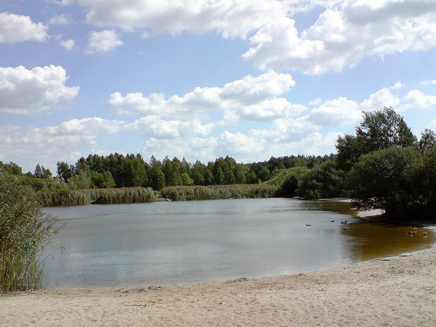Staw Bielice