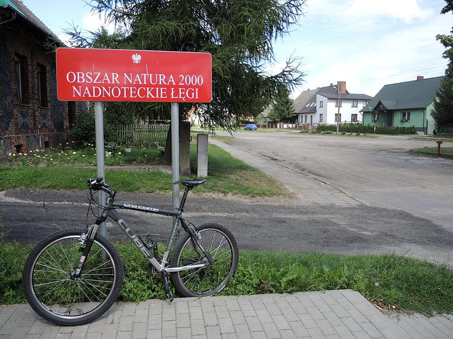 Obszar Natura 2000 - Nadnoteckie Łęgi / Gulcz