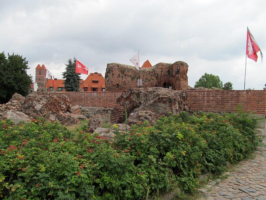 Toruń zamek Krzyżacki