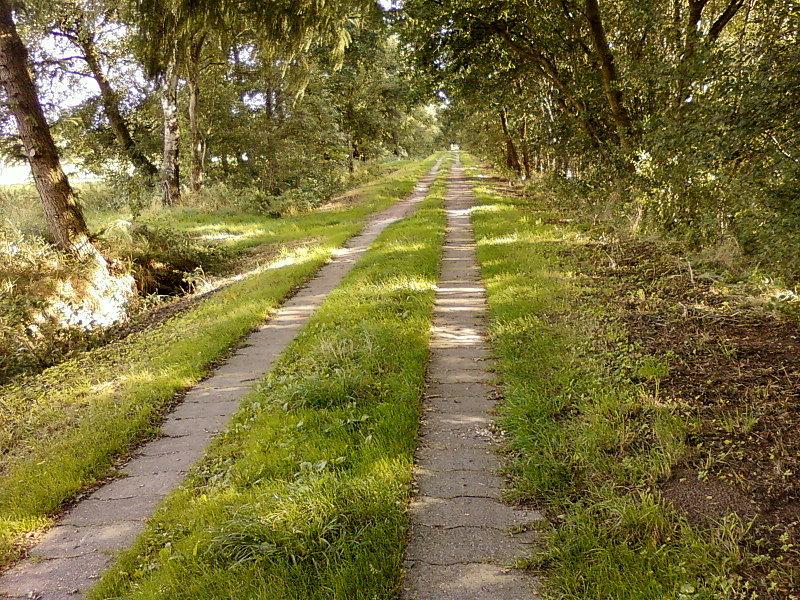 Betonowa polna droga