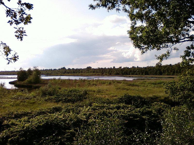 Lengener Moor