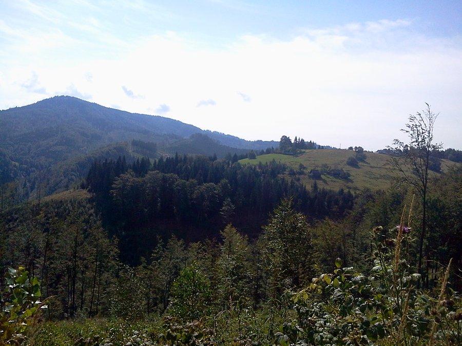 Widok na Stożek