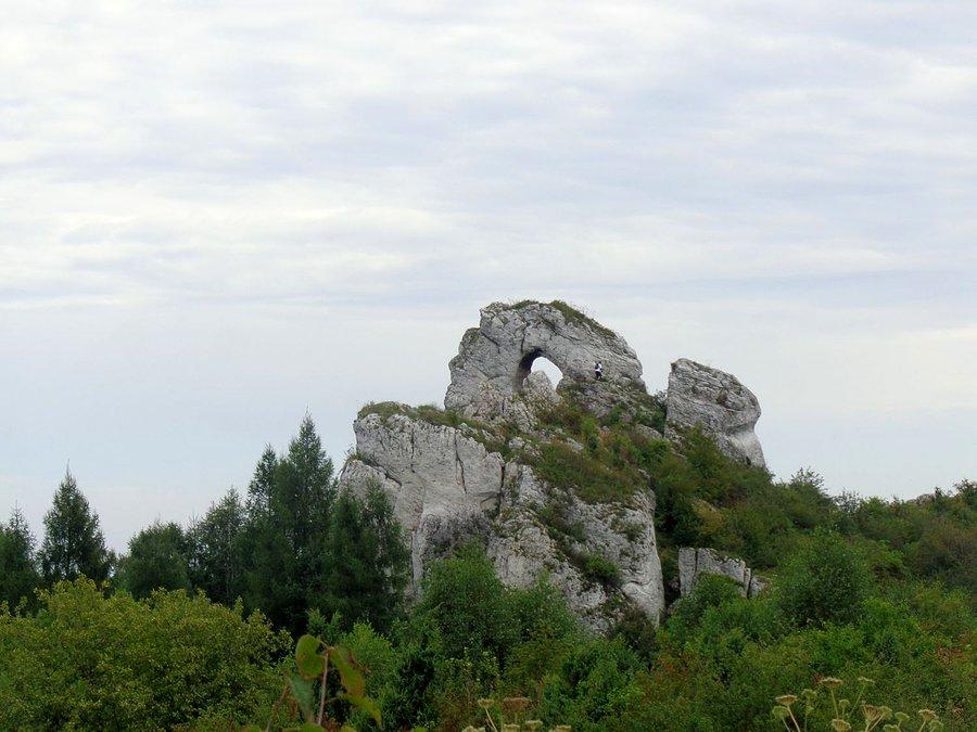 Okiennik Wielki