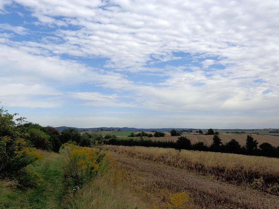 Jura Krakowsko-Częstochowska widokowa