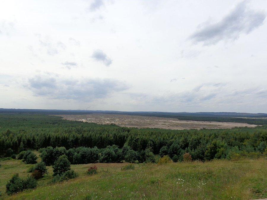 Pustynia Błędowska