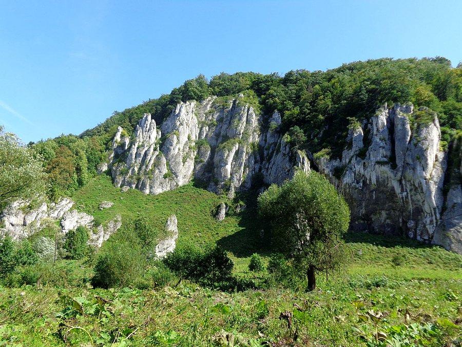 Ojcowski Park Narogowy