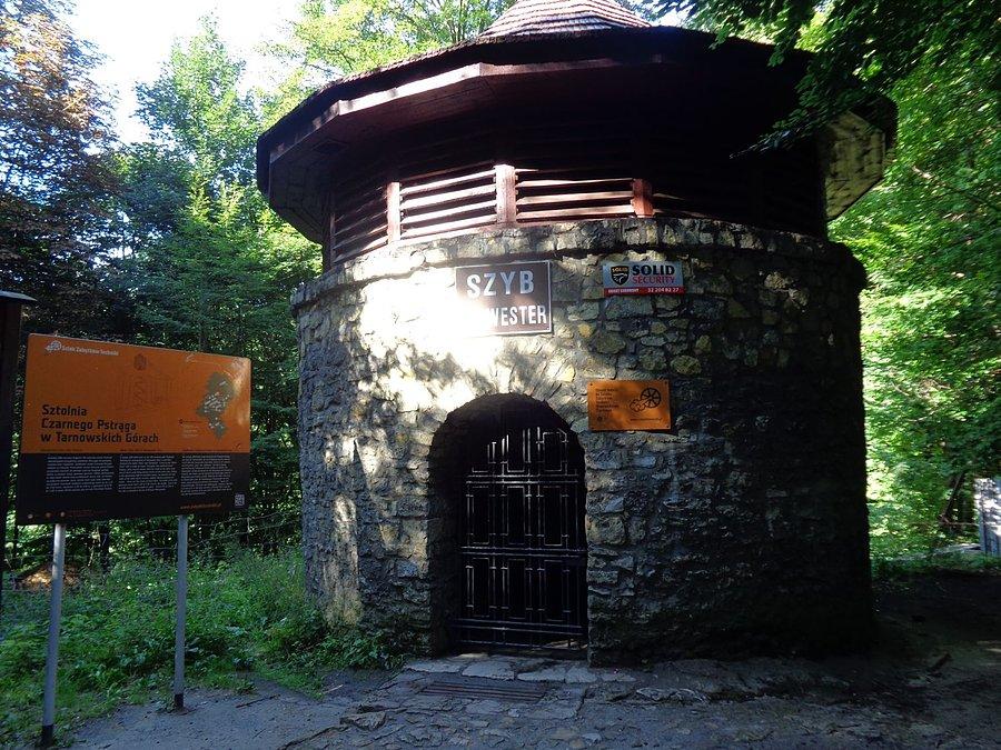 Szyb SYLWESTER