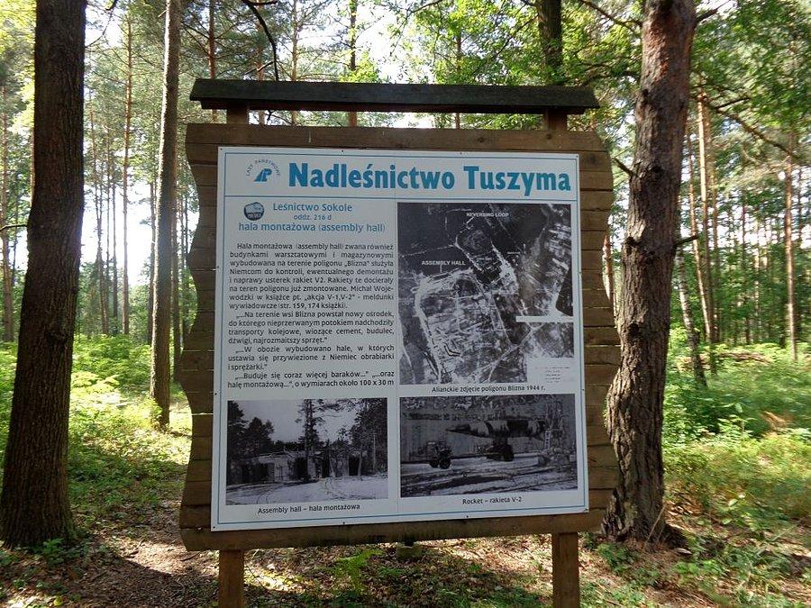 Poligonowe ciekawostki