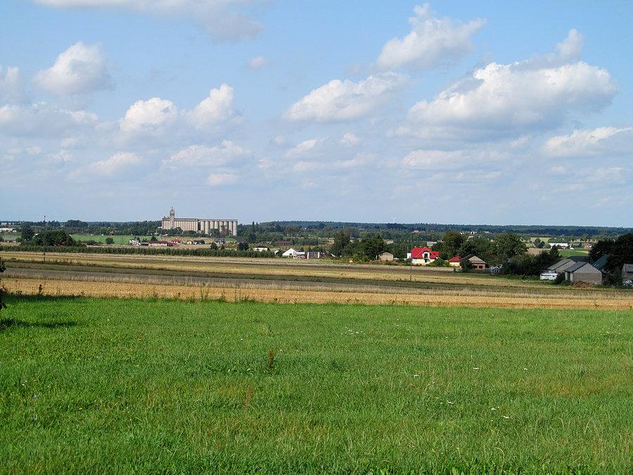 Widok z punktu widokowego w Leszczynach - w oddali elewatory koło Rogowa