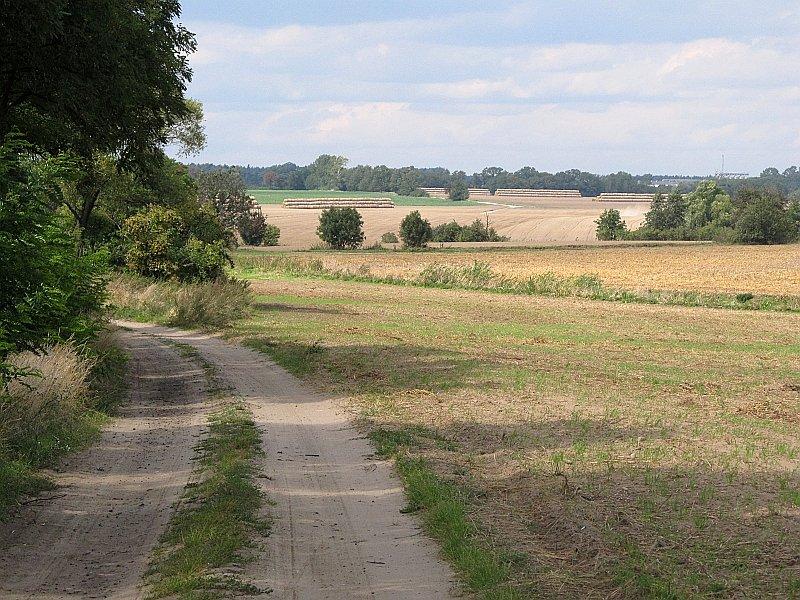 Droga polna między Uzarzewem, a Sarbinowem