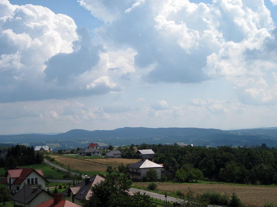 Widoczek z wieży widokowej