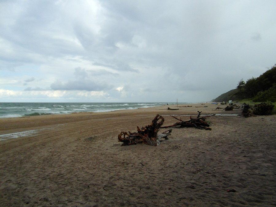 Plaża w Poddąbiu