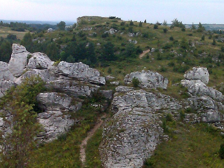 Widoczek