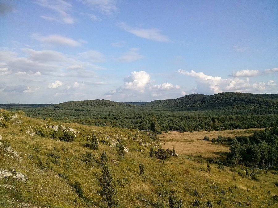 Widoczek na Sokole